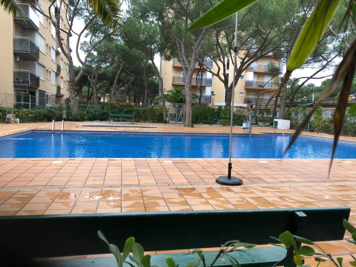 Beta'S Place - Apartamento Primera Linea De Playa بلانيس المظهر الخارجي الصورة